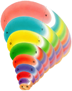 Afbeelding Organisatiekunde en verandering op basis van Spiral Dynamics integral