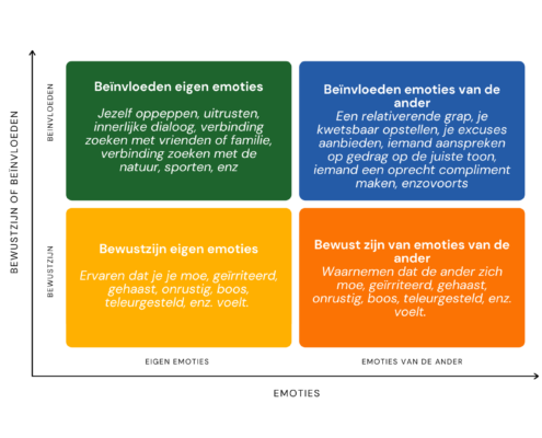 Emotionele Intelligentie - Daniel Goleman