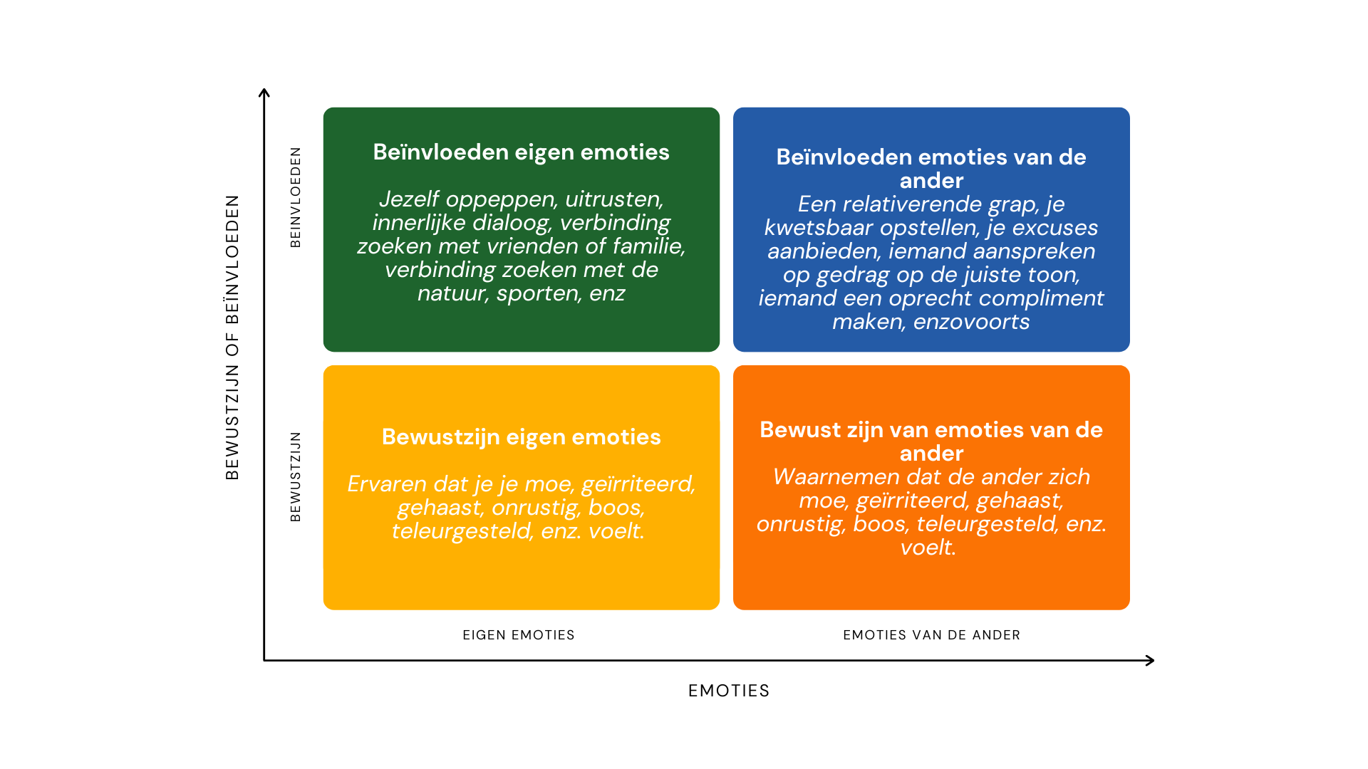 Emotionele Intelligentie - Daniel Goleman