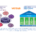 PRINCE2 Agile vs AgilePM 1.5