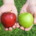 Vergelijk MSP en AgilePgM als appels