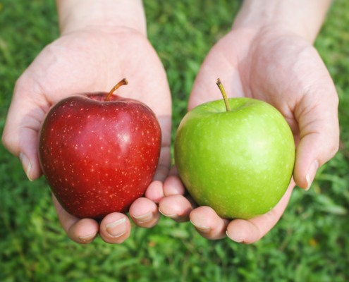 Vergelijk MSP en AgilePgM als appels