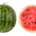 De XLA versus watermeloen rapportage
